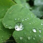 Nach dem Unwetter
