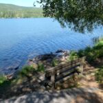 Sognsvann