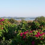 Ausblick bei einer morgendlichen Laufrunde